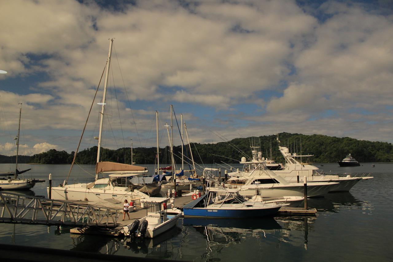 Fish Hook Marina Hotel Golfito Extérieur photo